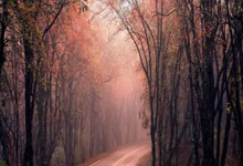 小雄的故事在线阅读哪里找？