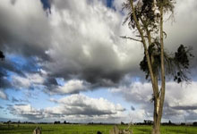 小雄的故事在线阅读哪里找？