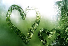 小雄的故事在线阅读哪里找？