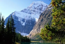 警惕网络色情陷阱，当免费黄色小说成为精神鸦片