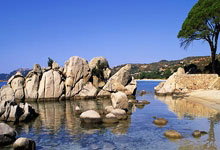 破案言情小说，为什么总能让人欲罢不能？