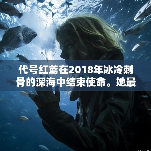 代号红鸢在2018年冰冷刺骨的深海中结束使命。她最后的意识，是被深海鱼群无声啃噬的钝痛，以及那枚被绝望按下的微型核装置按钮—刺目的白光瞬间吞没了一切，包括她作为顶级特工的所有过往