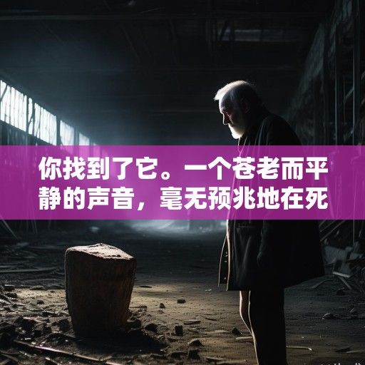 你找到了它。一个苍老而平静的声音，毫无预兆地在死寂的角落响起